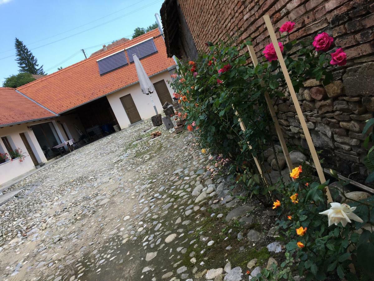 Casa Saseasca Villa Saschiz Esterno foto